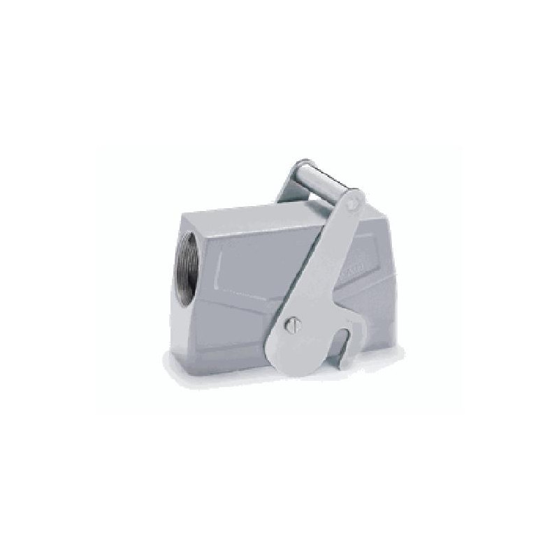 Capot 24B, Aluminium moulé sous pression, acier inoxydable, IP67, Sortie horizontale, M40